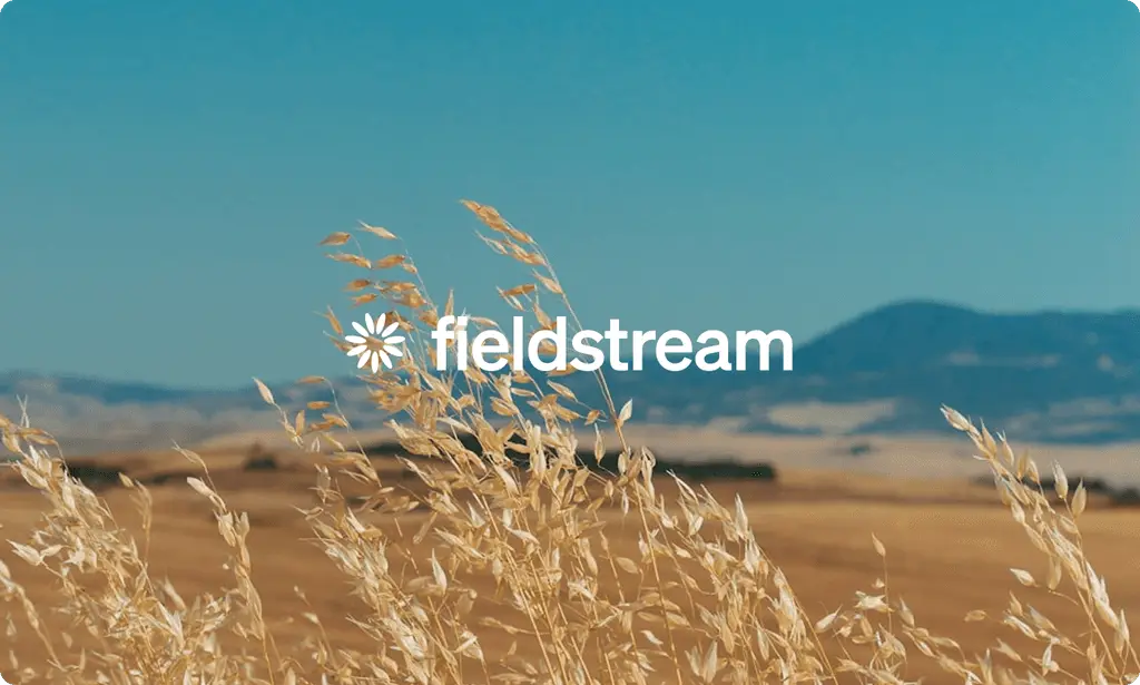 Fieldstream preview